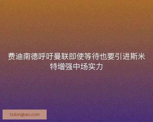 费迪南德呼吁曼联即使等待也要引进斯米特增强中场实力